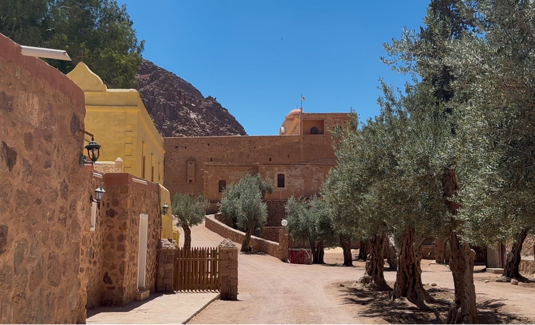 A dirt road with trees and buildings

AI-generated content may be incorrect.