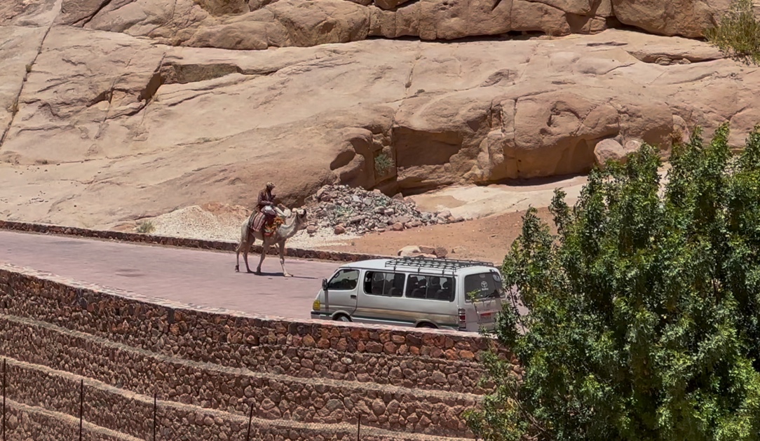 A person riding a camel on a road

AI-generated content may be incorrect.