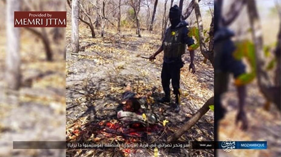 A person standing in the woods

AI-generated content may be incorrect.