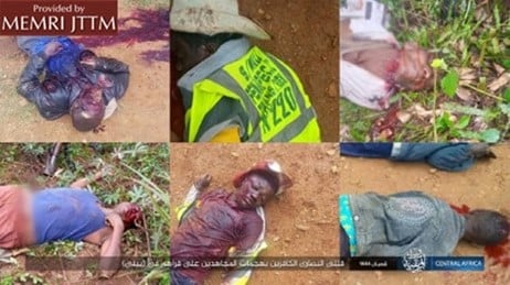 A collage of images of a person lying on the ground

AI-generated content may be incorrect.