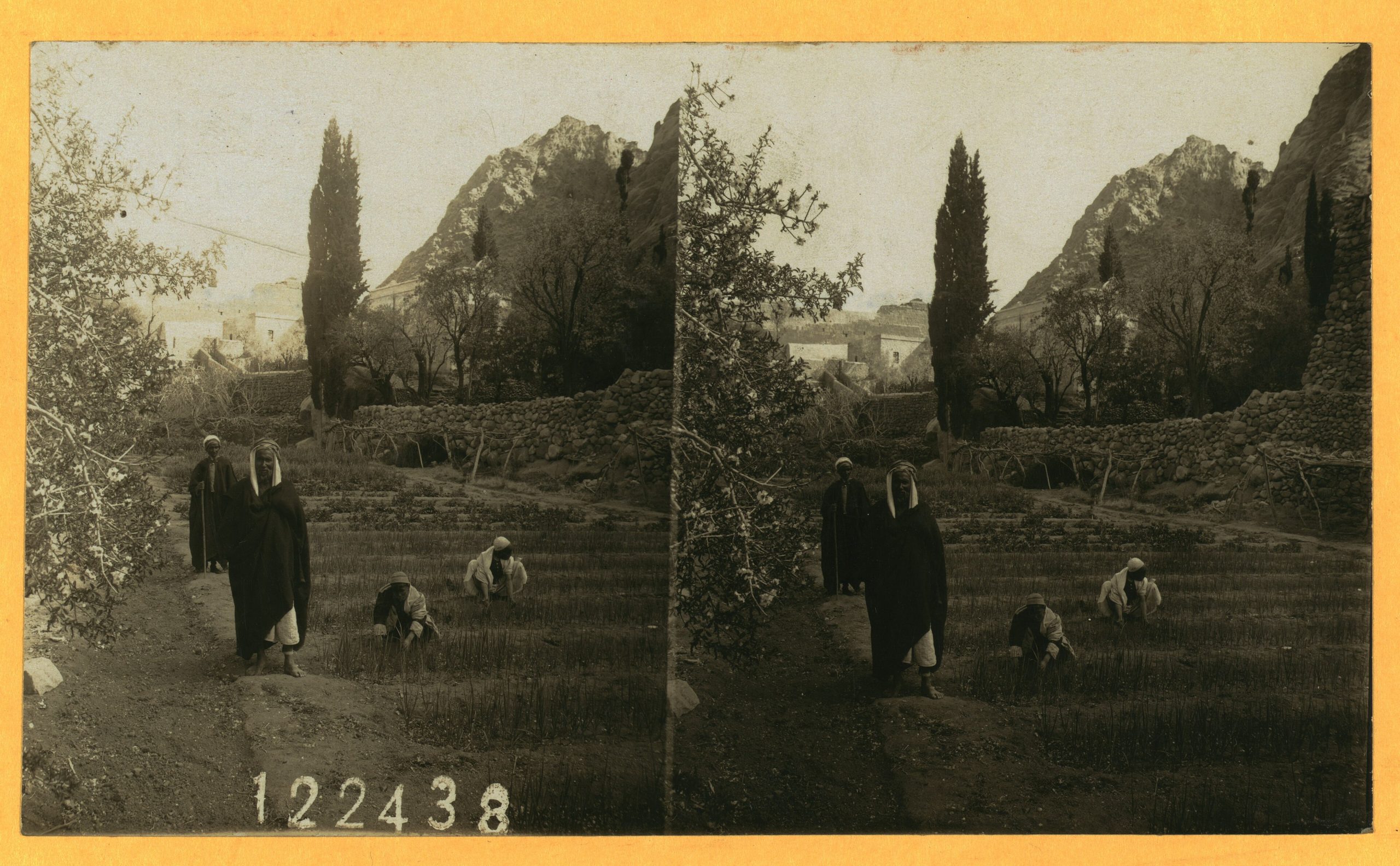 Terraced gardens or landscape associated with Saint Catherine’s Monastery