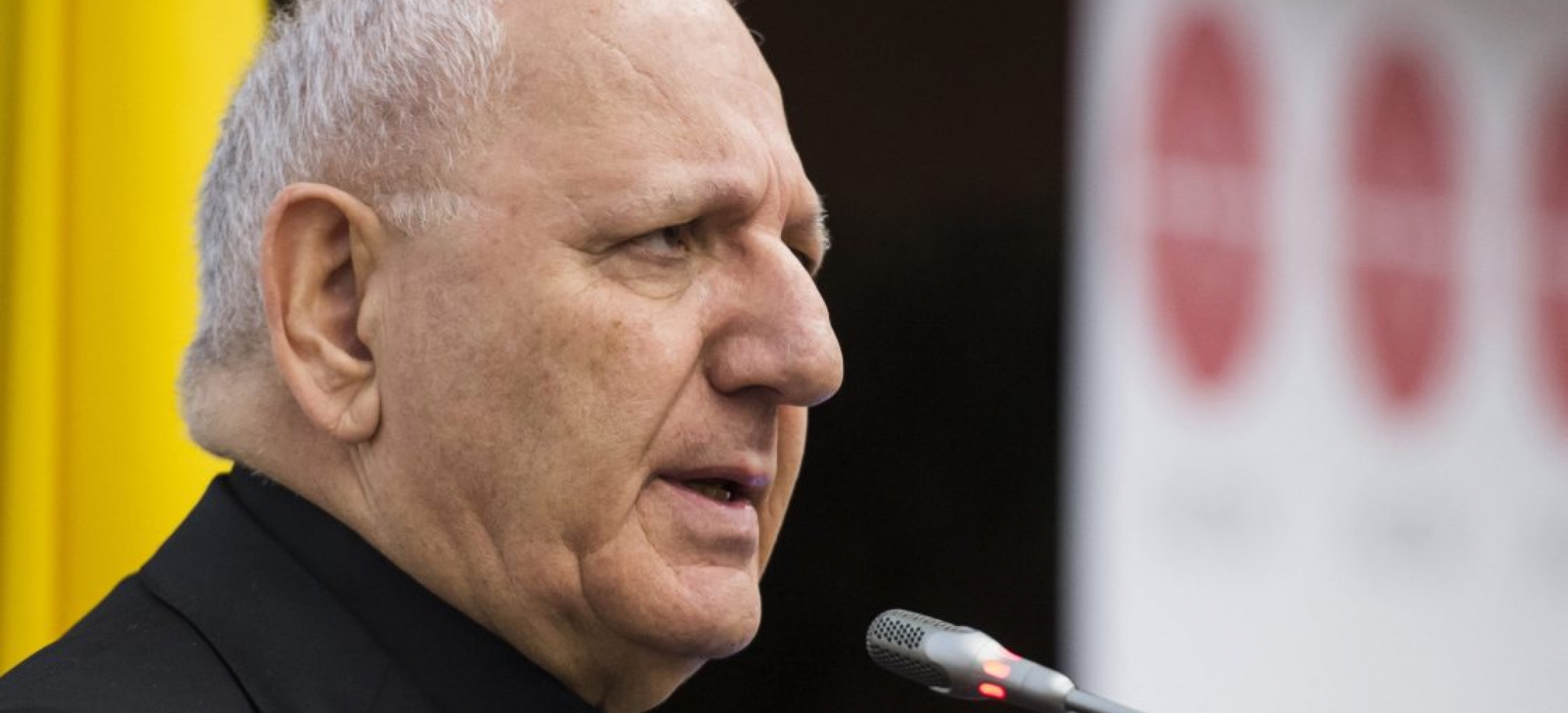 SAKO CARD LOUIS RAPHA L visual data 8